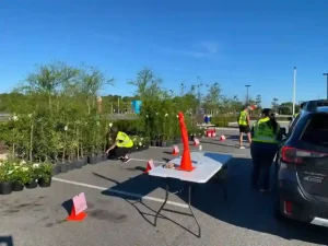 Community members picking up free trees at the Keep Nassau Beautiful tree giveaway event in Yulee