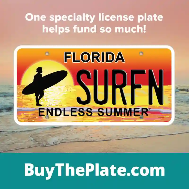 Partner PlateSunrise Light