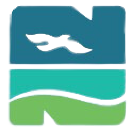 https://keepnassaubeautiful.org/wp-content/uploads/2025/06/cropped-N-KNB-Edited.png